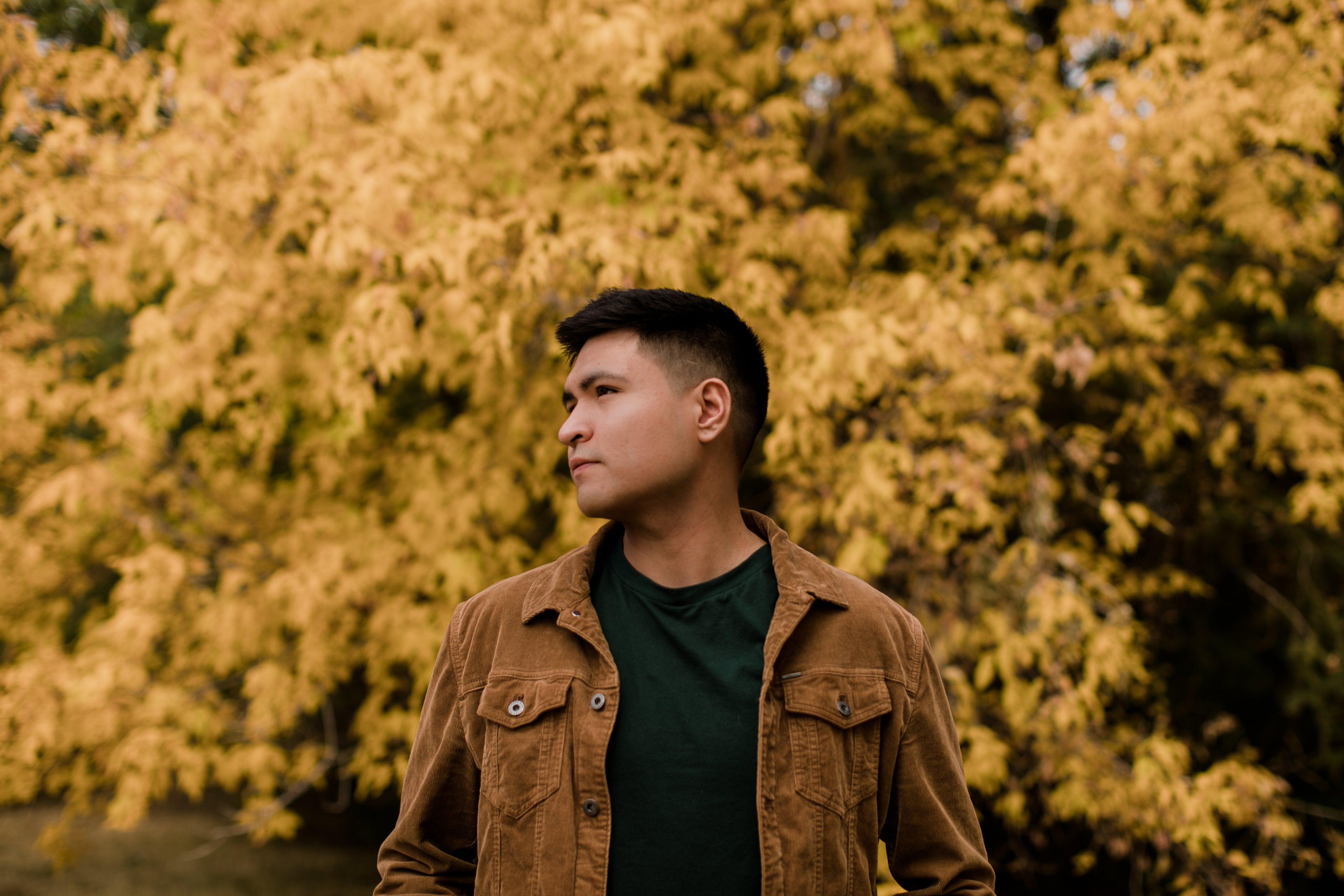 Daniel K. —  Australia